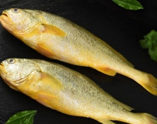 黃魚400-500G/條